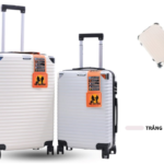 vali-ae-pro-two-brother